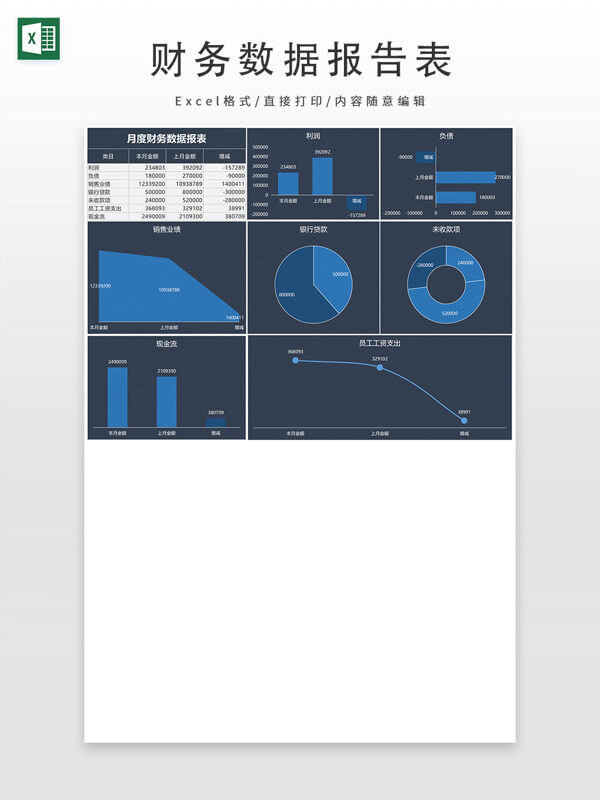 月度财务数据报表