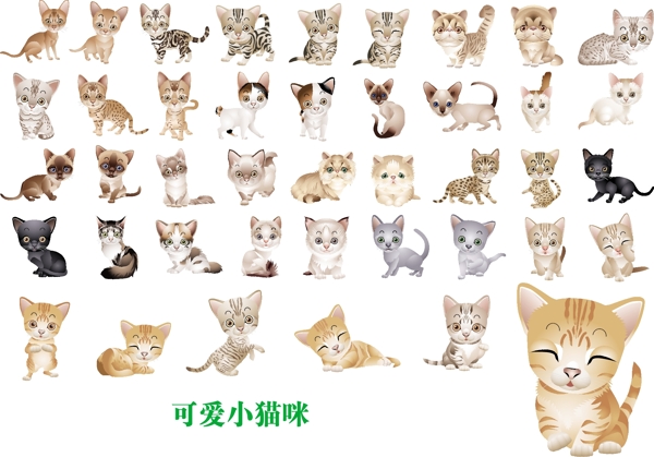40多款可爱版小猫咪矢量素材